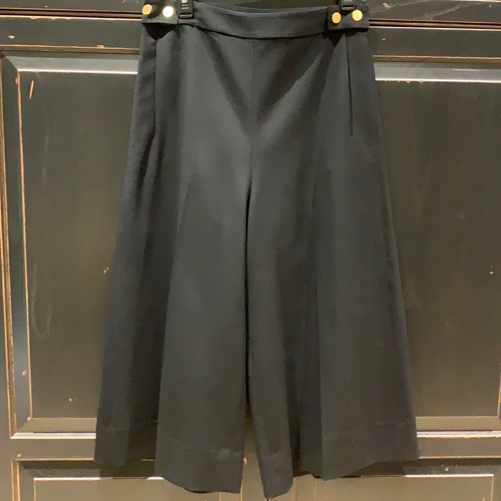 Diane von Furstenberg Gaucho NWT Size 10